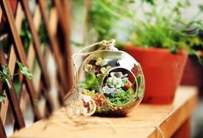 Hanging transparent glass vase container - Tinker's Way