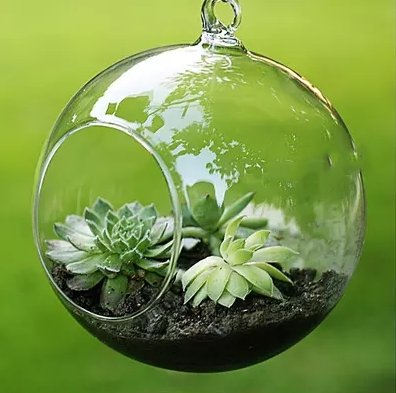 Hanging transparent glass vase container - Tinker's Way