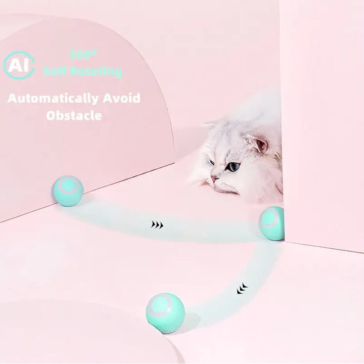 Smart Cat Ball Toys - Tinker's Way