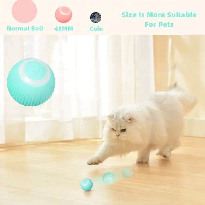 Smart Cat Ball Toys - Tinker's Way