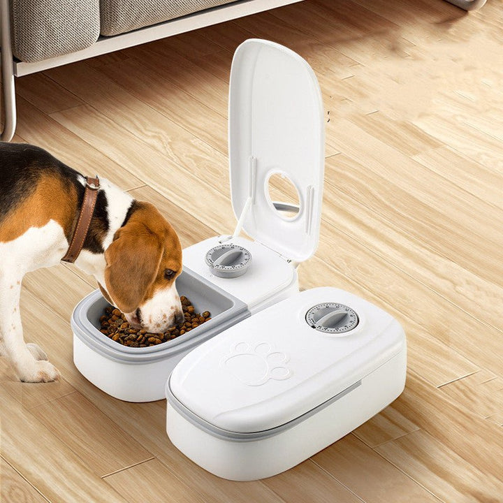 Timed Pet Feeder - Tinker's Way