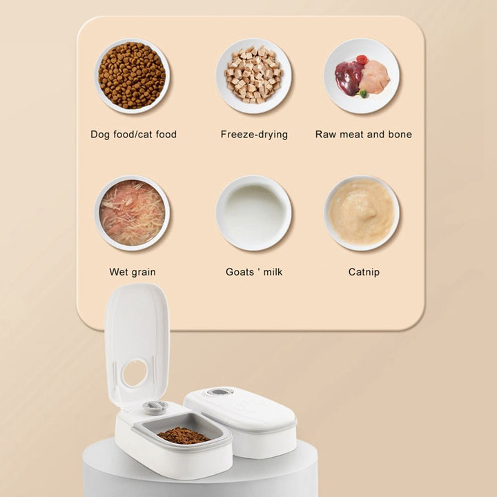 Timed Pet Feeder - Tinker's Way